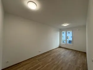 Pronájem bytu 3+kk, Nepomuk, Višňovka, 93 m2