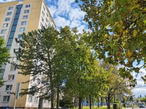 Pronájem bytu 2+kk, Brno - Královo Pole, Herčíkova, 32 m2