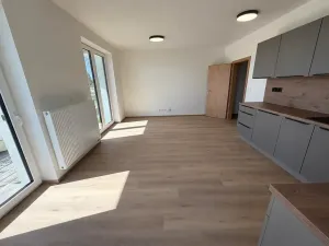 Pronájem bytu 1+kk, Dobřany, Denksteinova, 39 m2