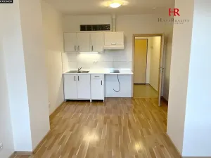 Pronájem bytu 1+kk, Týnec nad Sázavou, 24 m2