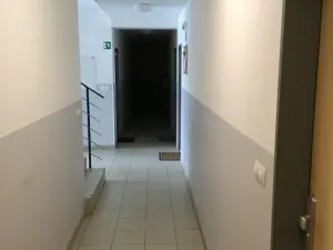 Pronájem bytu 1+kk, Týnec nad Sázavou, 24 m2
