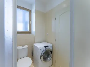Pronájem bytu 1+1, Praha - Vinohrady, Máchova, 40 m2
