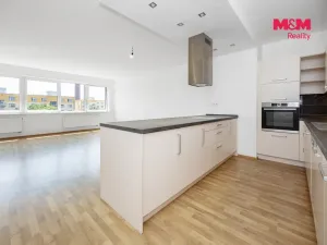 Pronájem bytu 3+kk, Pardubice - Zelené Předměstí, Hronovická, 119 m2