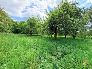 Prodej rodinného domu, Bozkov, 290 m2