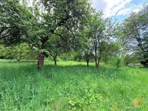 Prodej rodinného domu, Bozkov, 290 m2