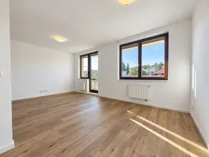 Pronájem bytu 1+kk, Praha - Podolí, Dvorecká, 43 m2