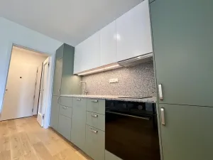 Pronájem bytu 1+kk, Praha - Nusle, Vrtbova, 27 m2