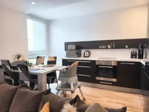 Pronájem bytu 2+kk, Brno, Fryčajova, 58 m2