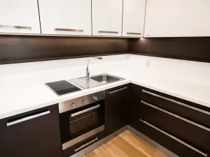 Pronájem bytu 3+kk, Brno, Fryčajova, 64 m2