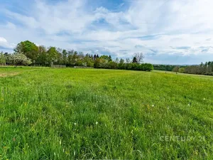 Prodej rodinného domu, Loket, 80 m2