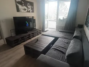 Prodej bytu 2+1, Brno, Foerstrova, 56 m2