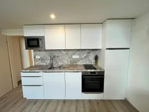 Pronájem bytu 2+kk, Praha - Vršovice, Kubánské náměstí, 43 m2