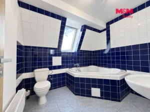 Pronájem bytu 2+1, Kladno, Osvoboz. pol. vězňů, 53 m2