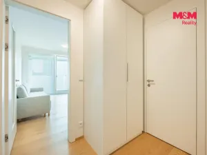 Pronájem bytu 1+kk, Praha - Michle, Hodonínská, 34 m2