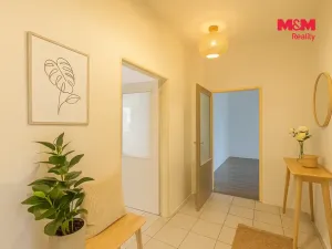 Prodej bytu 2+kk, Ostrava - Vítkovice, Zengrova, 100 m2