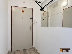 Pronájem bytu 1+kk, Havířov, Marušky Kudeříkové, 22 m2