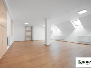 Pronájem bytu 6+kk a větší, Brno, Štefánikova, 400 m2