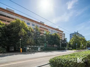 Prodej bytu 3+1, Pardubice, Palackého třída, 89 m2