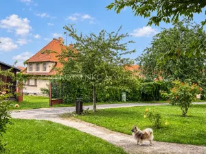 Prodej vícegeneračního domu, Český Krumlov, Horská, 469 m2