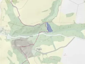 Prodej lesa, Slavíkov, 8906 m2