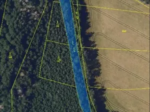Prodej lesa, Česká Bělá, 1714 m2