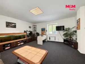 Prodej obchodního prostoru, Týn nad Vltavou, Veselská, 252 m2