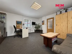 Prodej obchodního prostoru, Týn nad Vltavou, Veselská, 252 m2