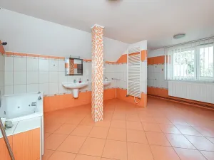 Prodej rodinného domu, Mikulovice, Farní, 320 m2