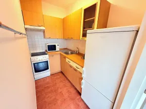 Pronájem bytu 1+kk, Praha - Nusle, Bartoškova, 33 m2