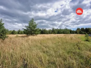 Prodej pozemku pro bydlení, Sadov, 3921 m2