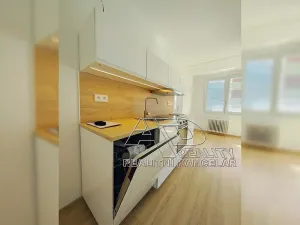 Pronájem bytu 1+1, České Budějovice, Budivojova, 49 m2