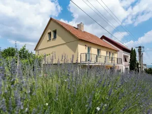 Prodej rodinného domu, Pavlov, 265 m2