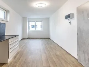 Pronájem bytu 1+kk, Mladá Boleslav, 29 m2