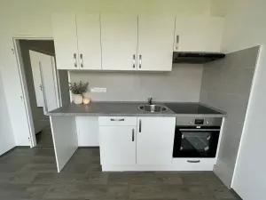 Pronájem bytu 1+1, Litvínov, U Bílého sloupu, 40 m2
