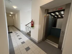 Prodej bytu 3+kk, Praha - Podolí, Levá, 137 m2
