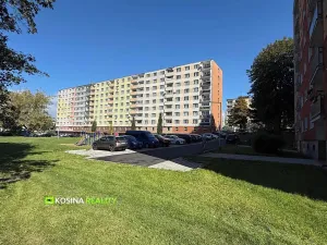 Pronájem bytu 2+1, Sokolov, Švabinského, 63 m2