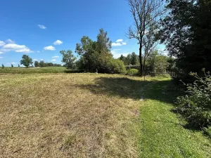 Prodej pozemku pro bydlení, Horní Planá, 3046 m2