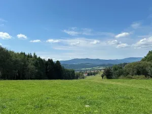 Prodej pozemku pro bydlení, Horní Planá, 3046 m2