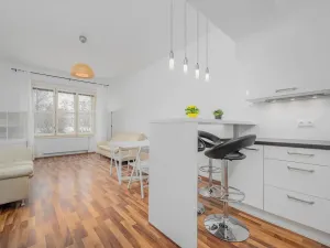Pronájem bytu 2+kk, Praha - Bubeneč, Rooseveltova, 58 m2