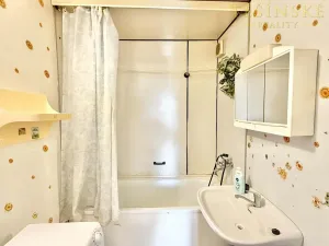 Pronájem bytu 3+1, Český Těšín, Ostravská, 72 m2