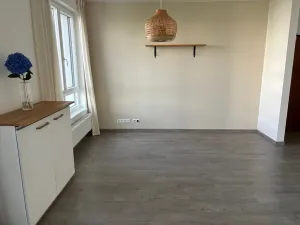 Prodej bytu 4+kk, Ostrava, Na Prádle, 113 m2