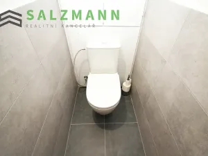 Pronájem bytu 3+1, Plzeň, Tachovská, 62 m2