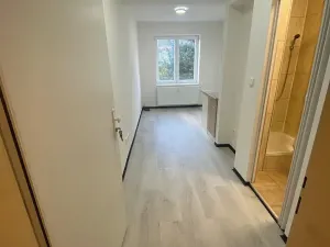Pronájem bytu 1+kk, Praha - Hlubočepy, Na Zlíchově, 17 m2