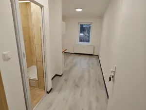 Pronájem bytu 1+kk, Praha - Hlubočepy, Na Zlíchově, 17 m2