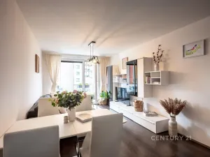 Prodej bytu 2+kk, Praha - Vysočany, Pod Harfou, 58 m2