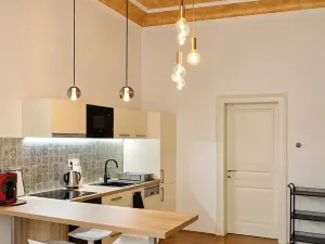 Pronájem bytu 2+kk, Praha - Vinohrady, Mánesova, 55 m2