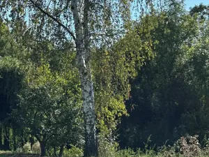 Prodej pozemku pro bydlení, Most, Mlýnská, 237 m2