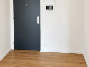 Pronájem bytu 2+kk, Praha, Polaneckého, 52 m2