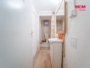 Pronájem obchodního prostoru, Plzeň - Východní Předměstí, Radyňská, 109 m2