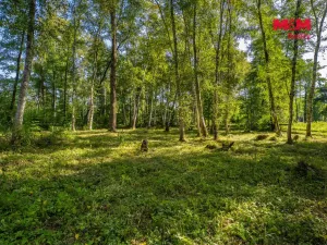 Prodej pozemku pro bydlení, Hradištko, 3825 m2